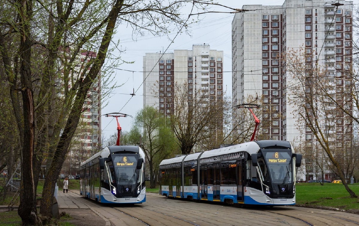 Современные трехсекционные трамвай "Витязь-М" в Москве. Фото сайта transphoto.org, автор Sergey Nemtsev 