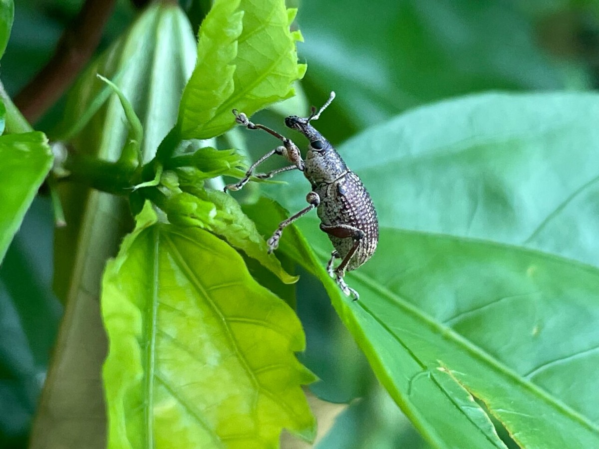 ФОТО: tv-gubernia.ru