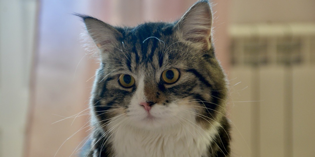 Изменения в Дзене. Ну и что теперь делать??? Что будет с мои каналом...