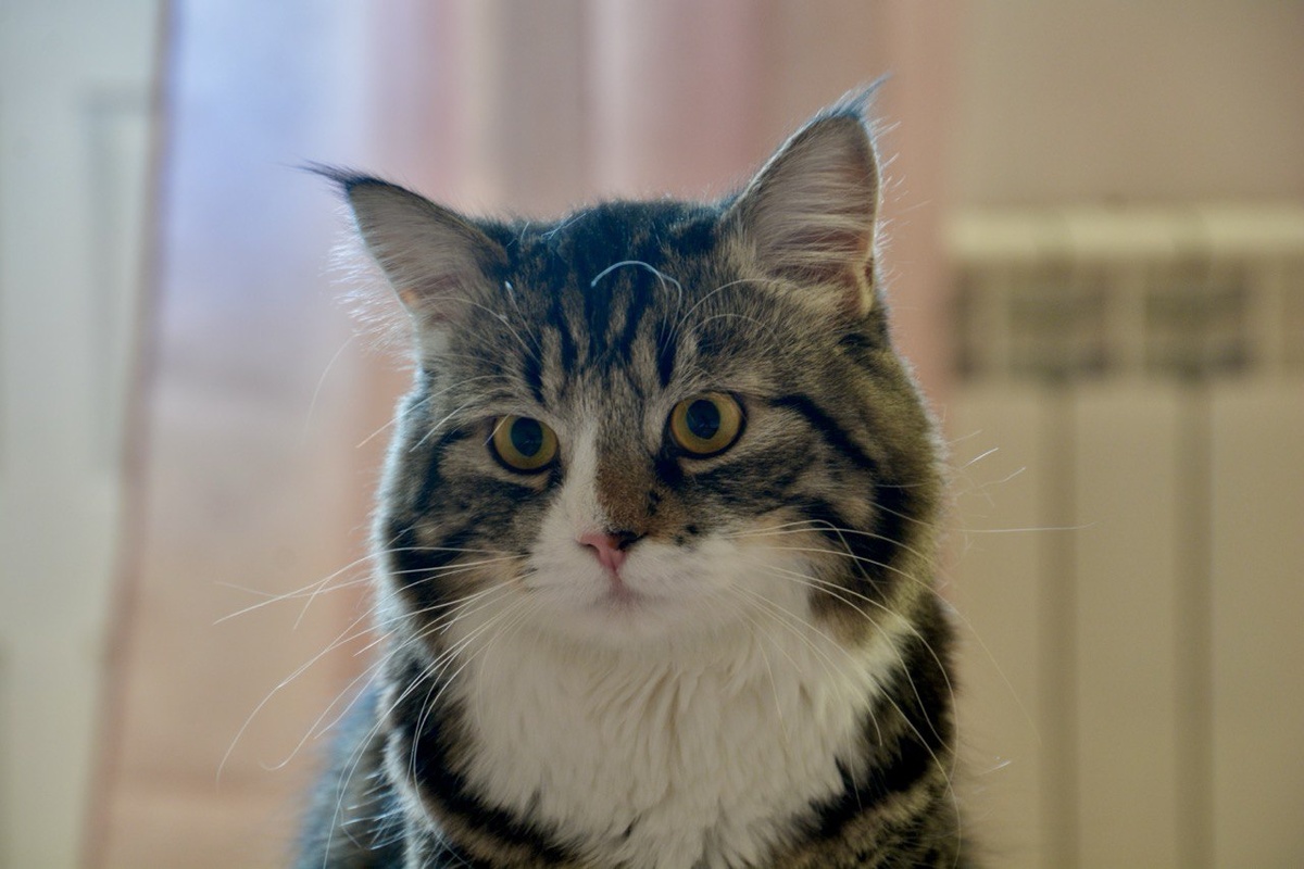 Персей в задумчивости...