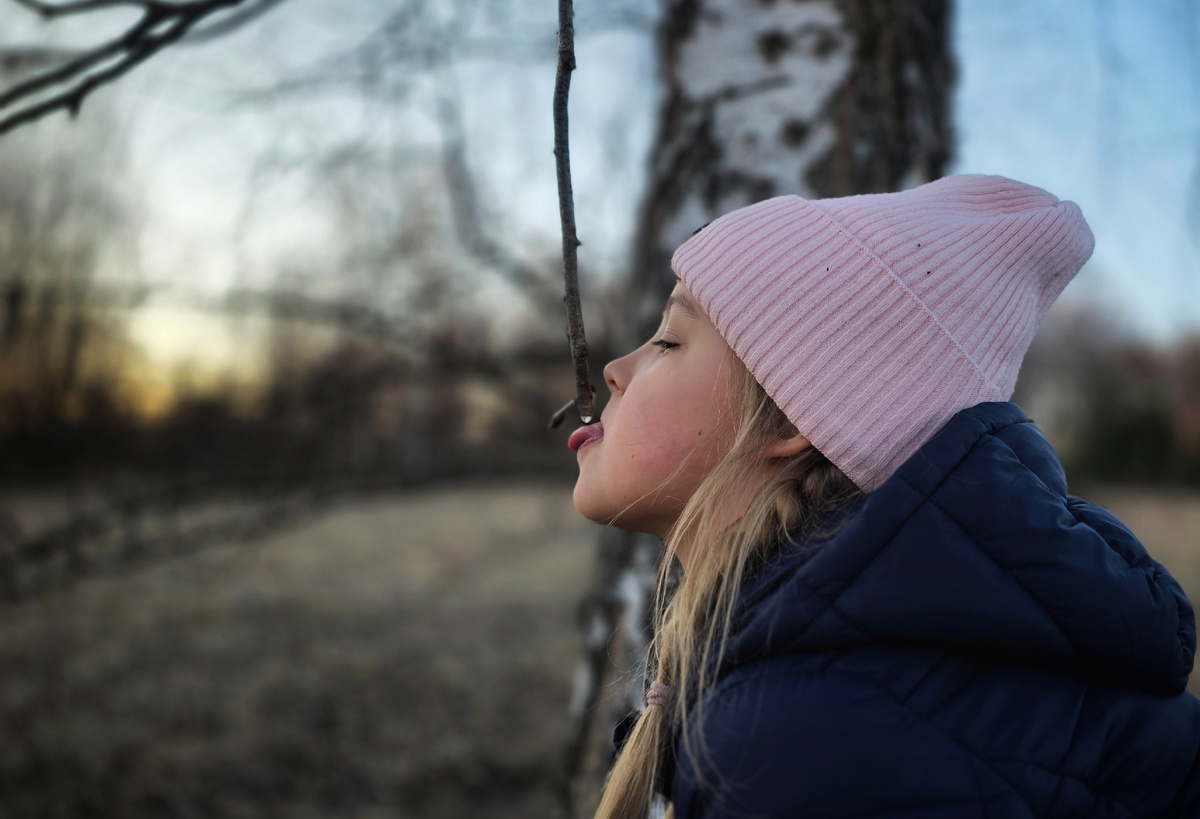 Вера и капелька сока с веточки, с которой сок собирали