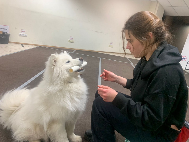 Самоед Чандра. Занятие в зале