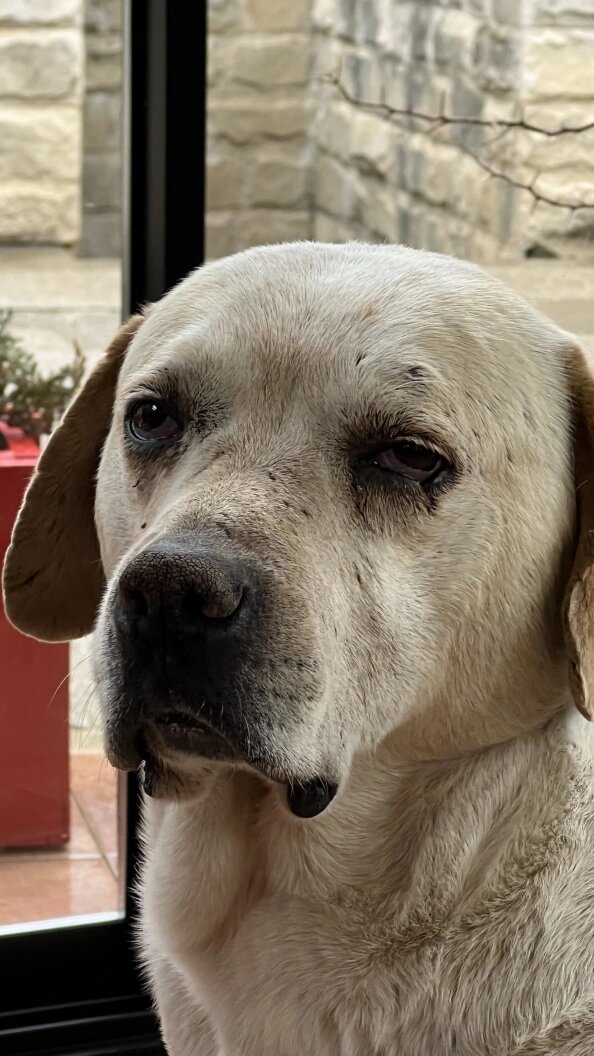    Фото: Царьград