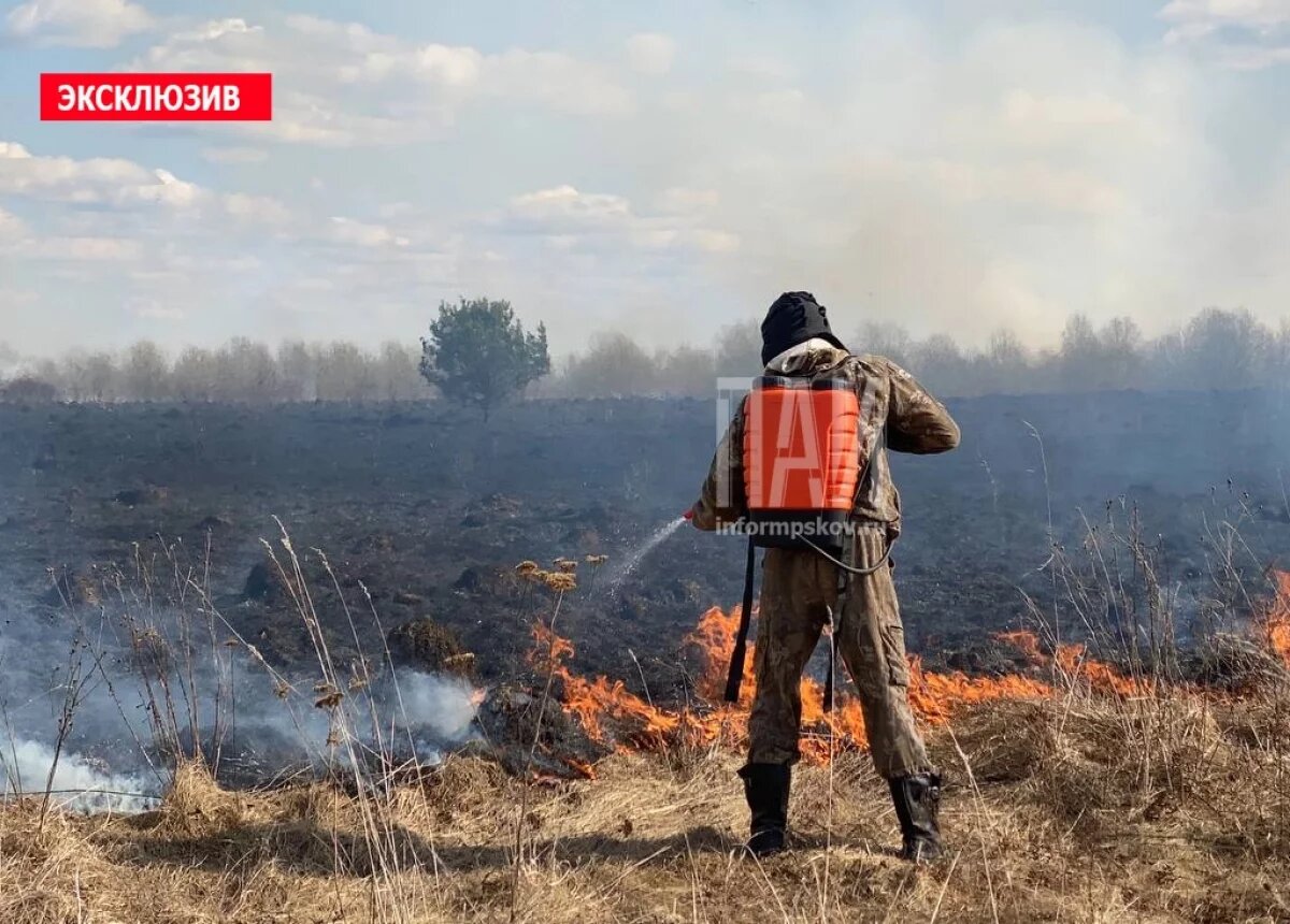    25 пожаров произошло в Псковской области за сутки
