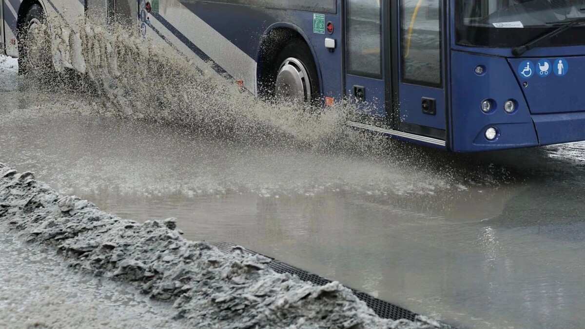    Фото: Андрей Ткачев/«Ямал-Медиа»