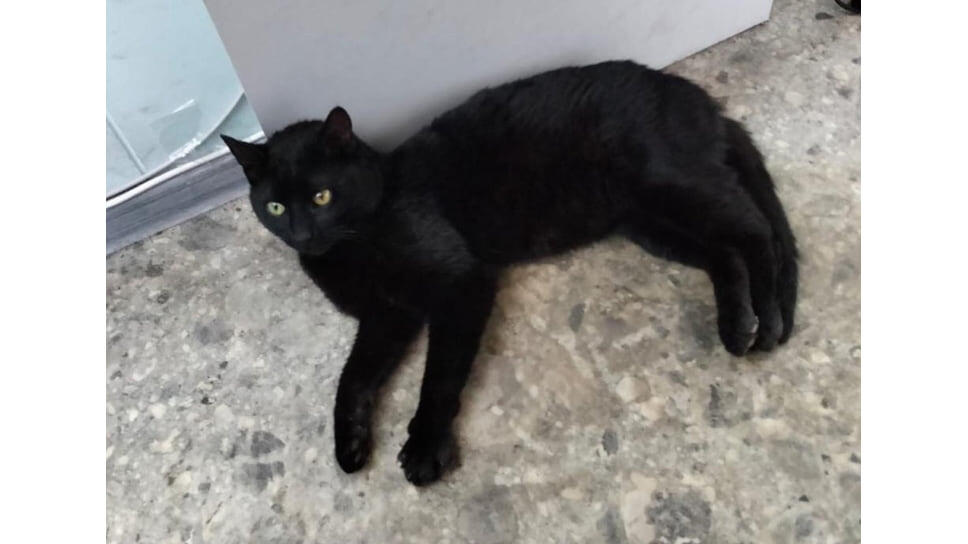 Фото: Транспортная группа Fesco