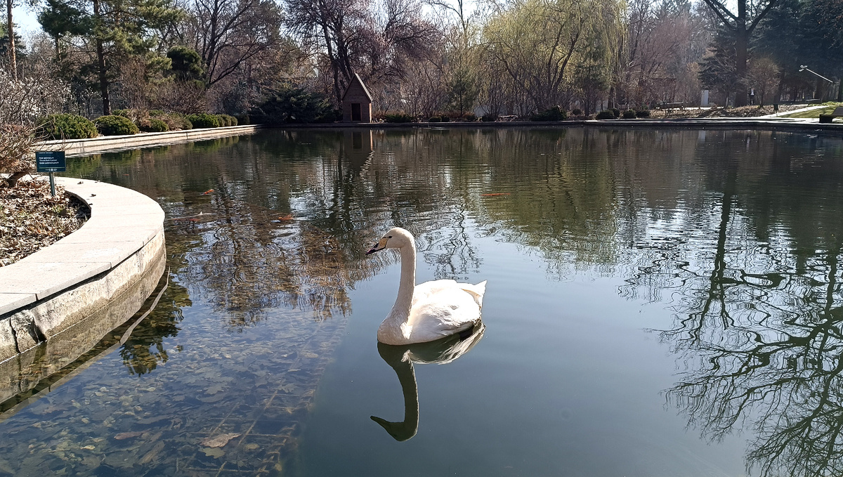 думает, куда плыть