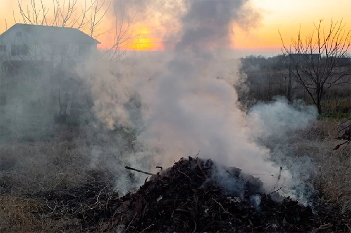    Лучше всего обратиться к садоводам, живущим по соседству. Совместные усилия дадут больший эффект.