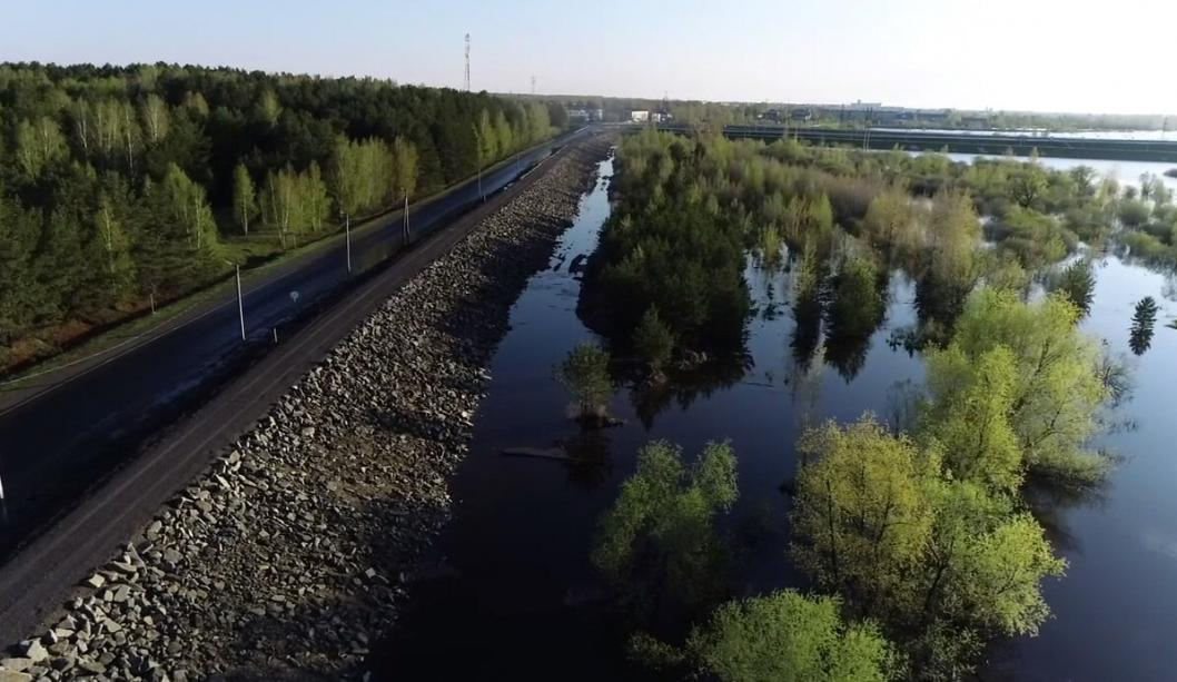Фото: скриншот видео главы Ялуторовского муниципального района (архив, май 2024 года)