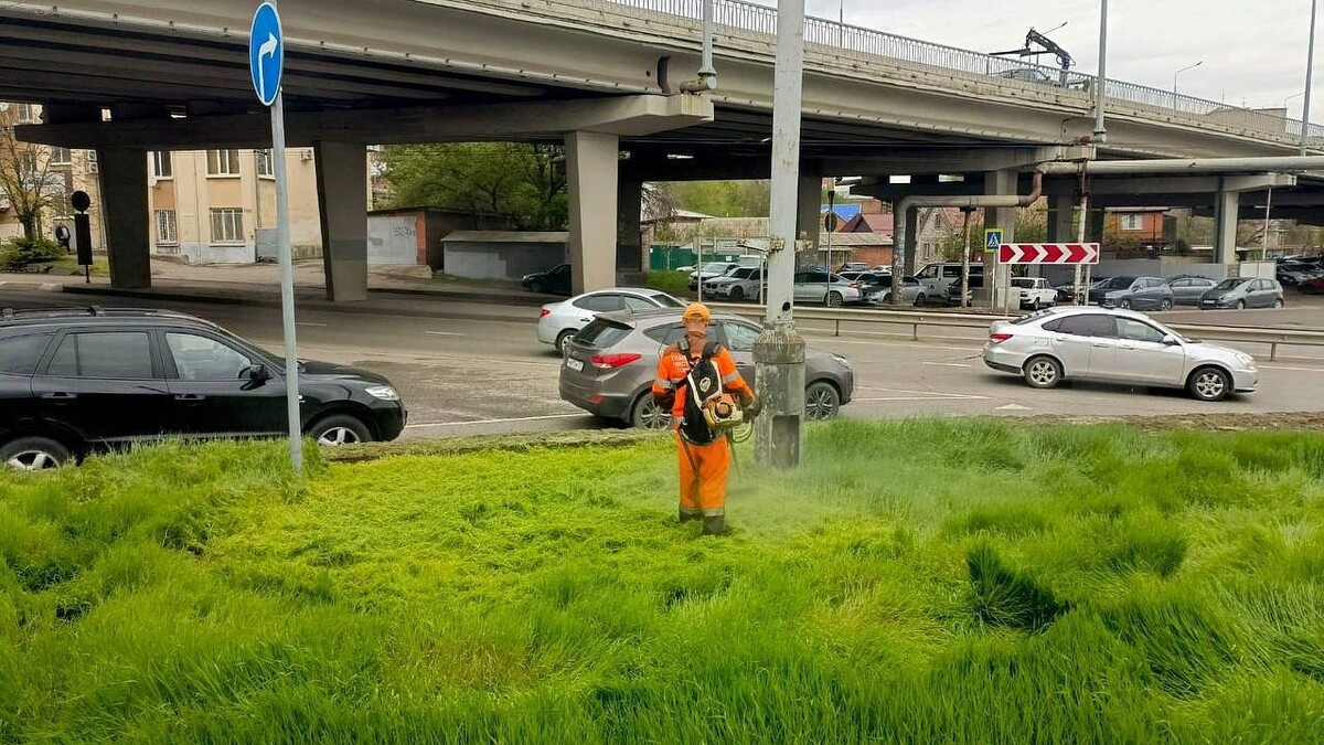    Фото: пресс-служба администрации Краснодара