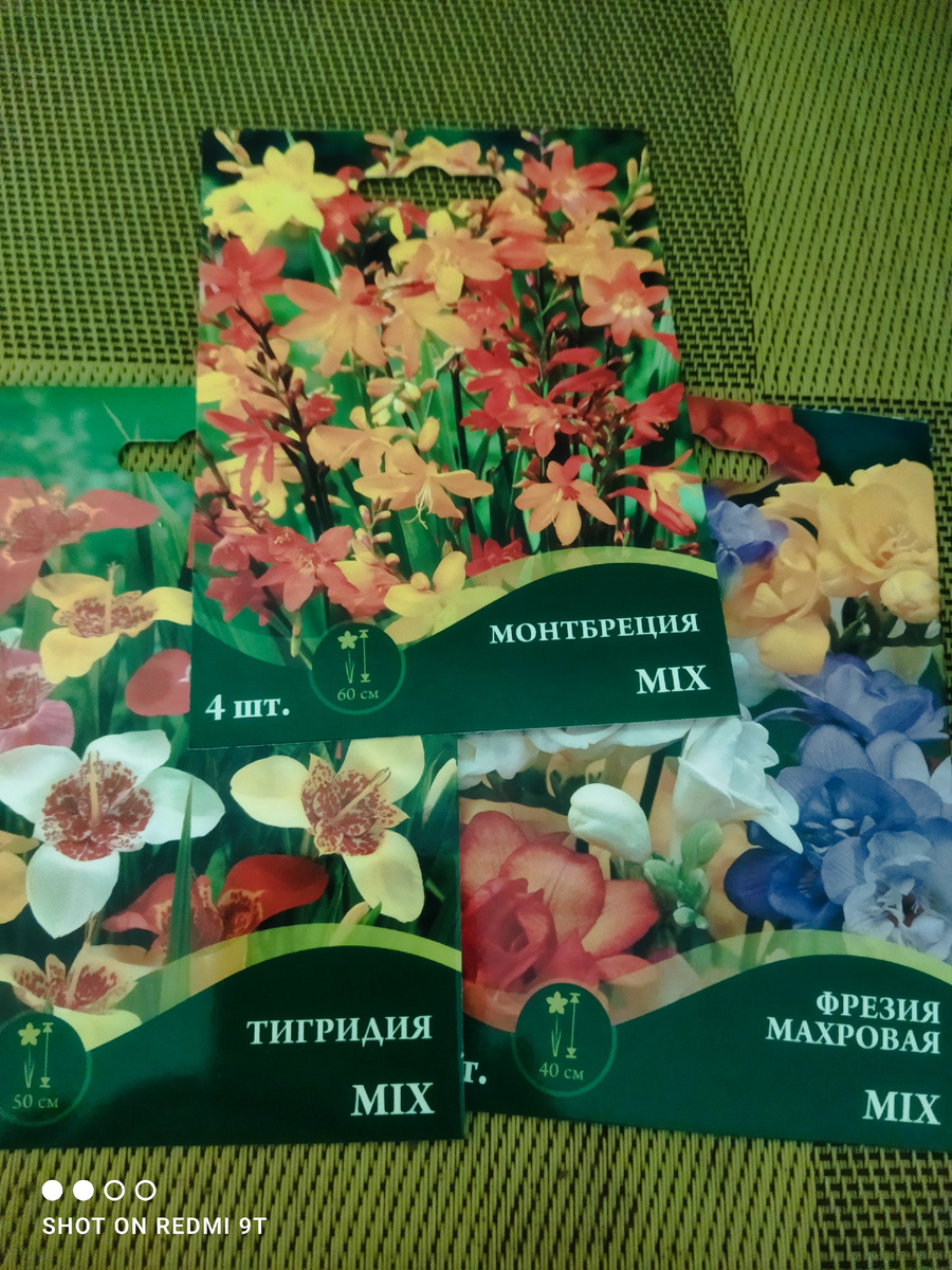 Тигридия, монтбреция и фрезия