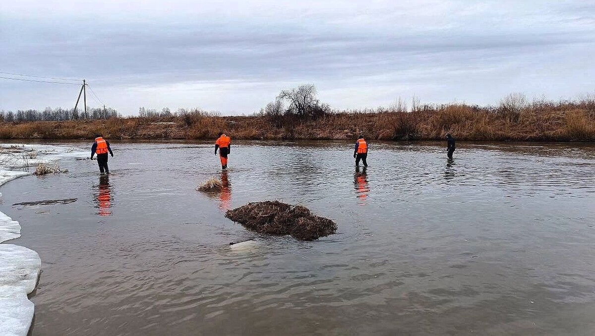     Источник: t.me/"Шуткин без шуток»