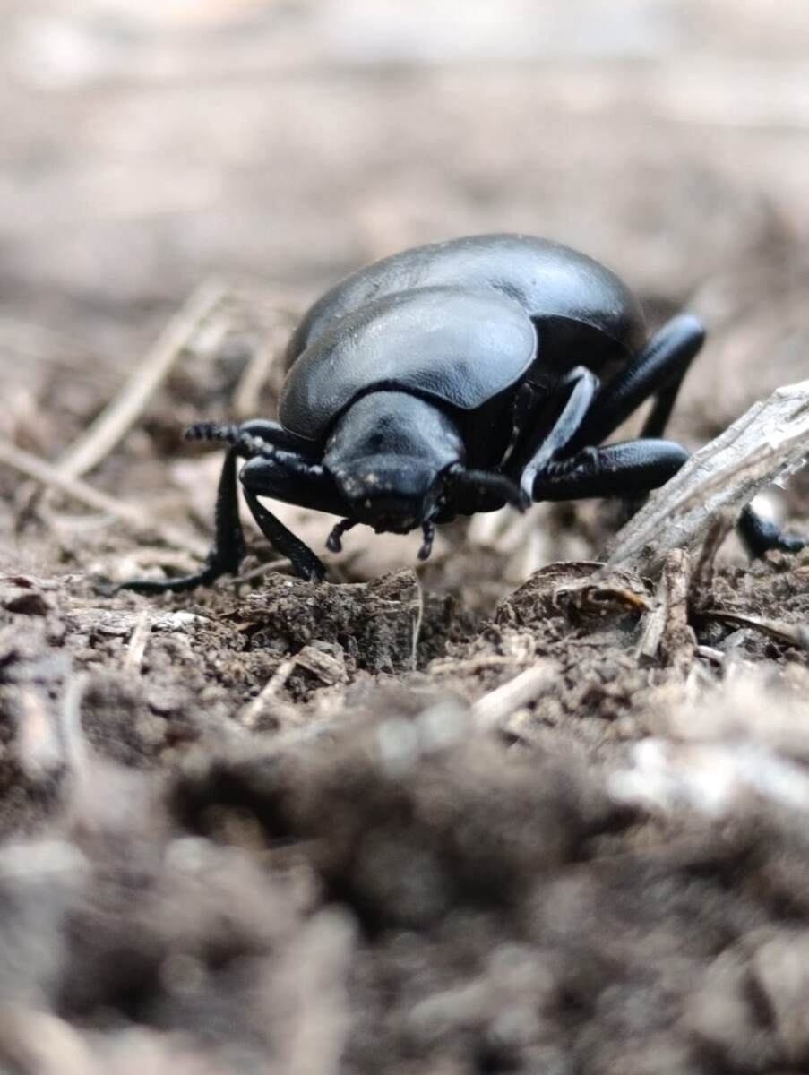 Шёл прям на нас😁