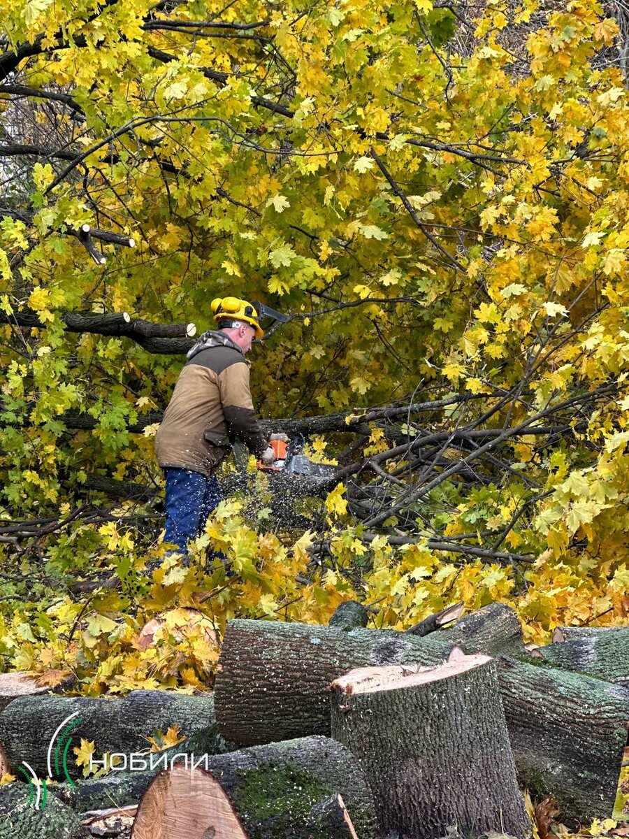 Фото из архива компании "Нобили"