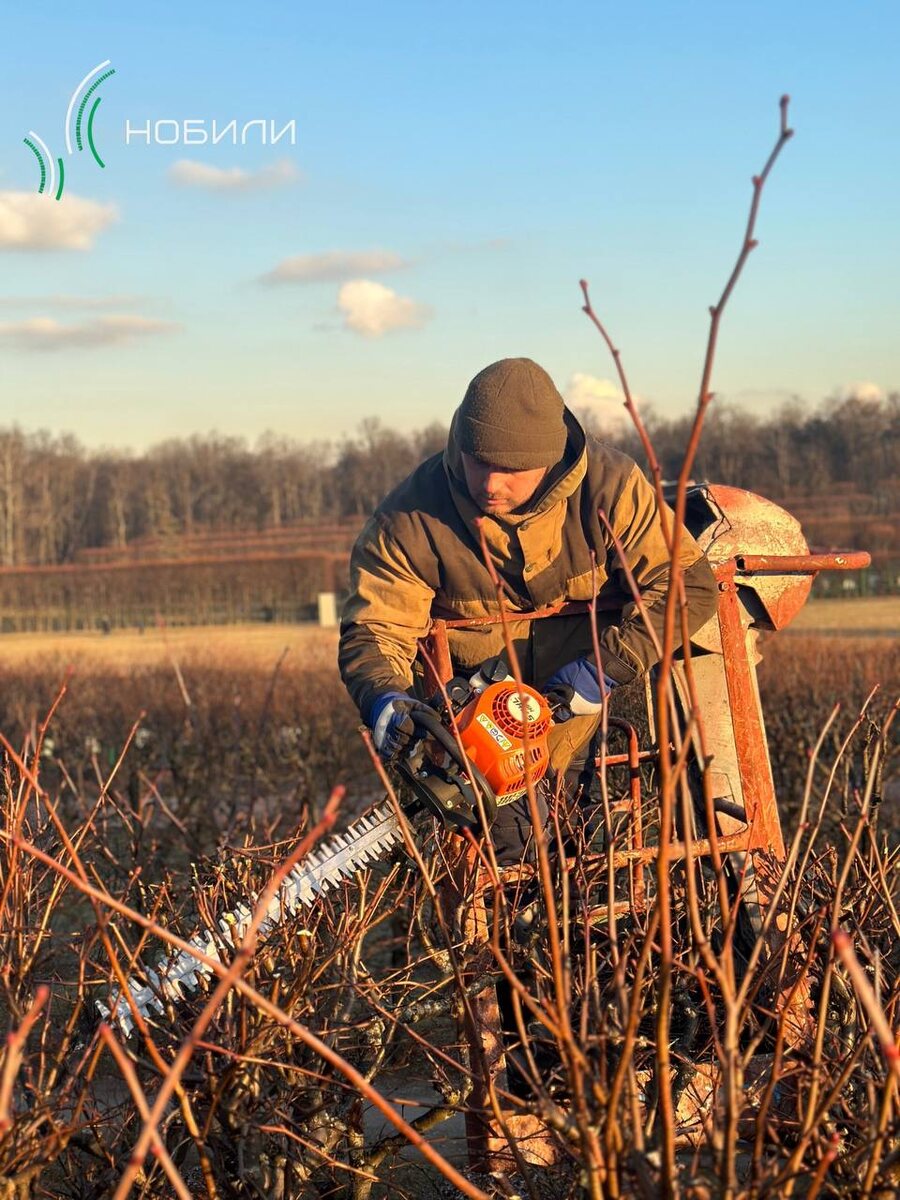 Фото из архива компании "Нобили"