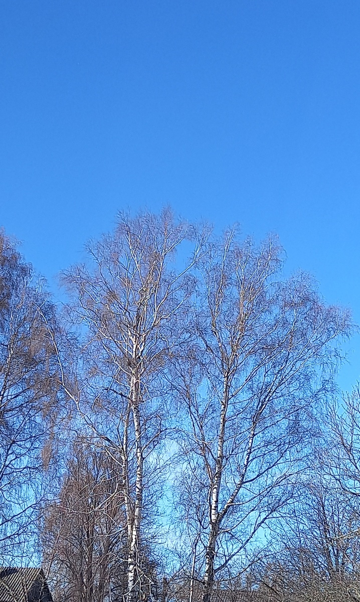 Вот такое красивое небо.