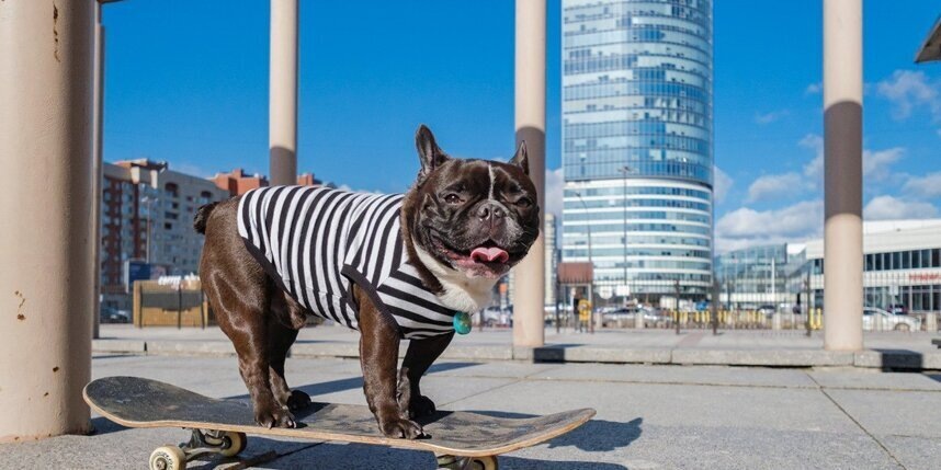    Алена Бобрович