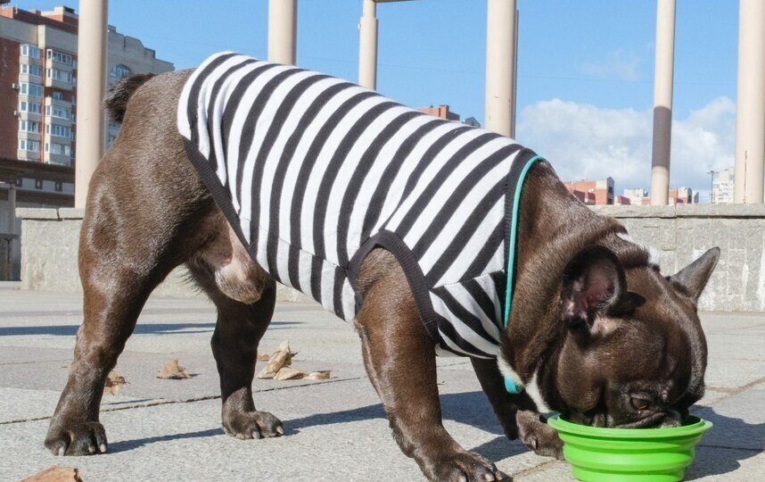    Алена Бобрович