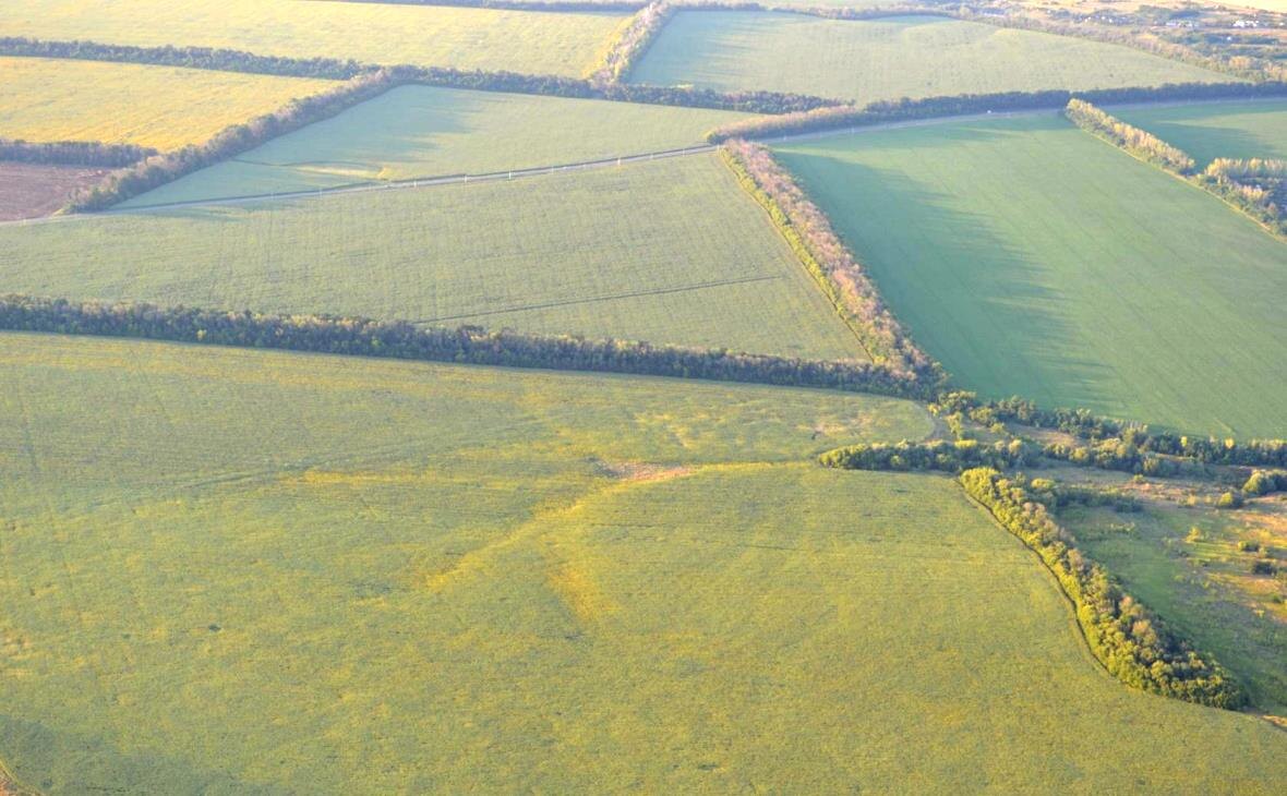 Фото: РБК Черноземье 