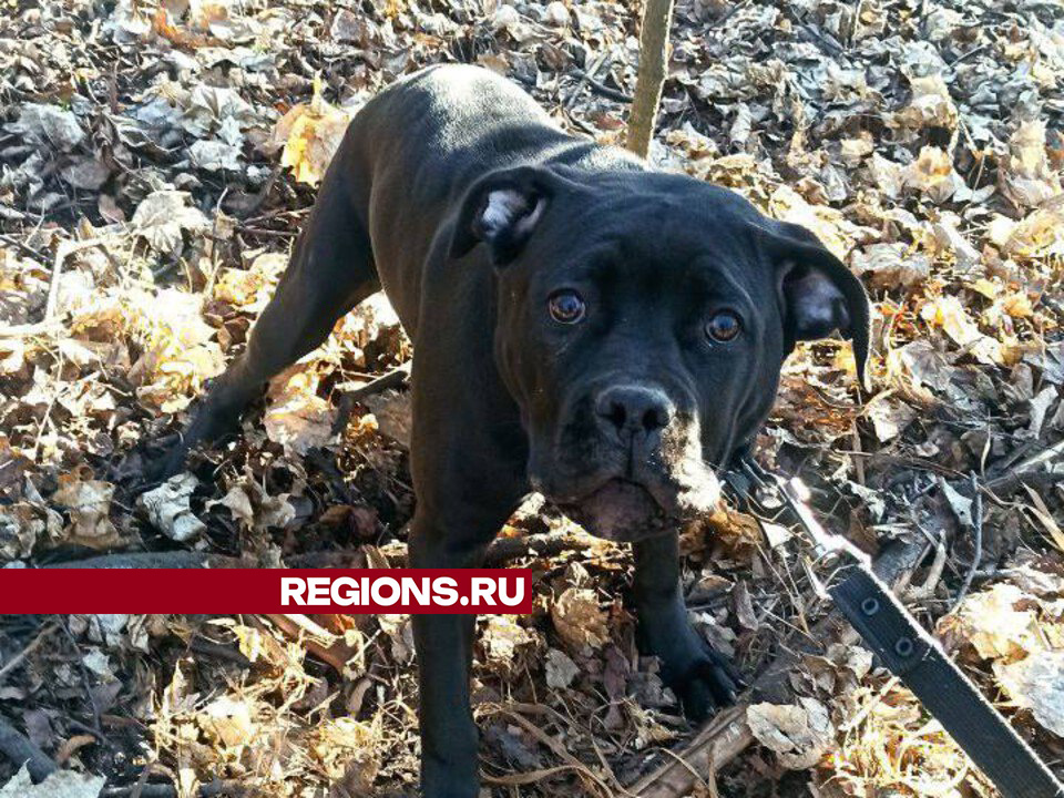     Фото: личный архив Андрея Ружинского