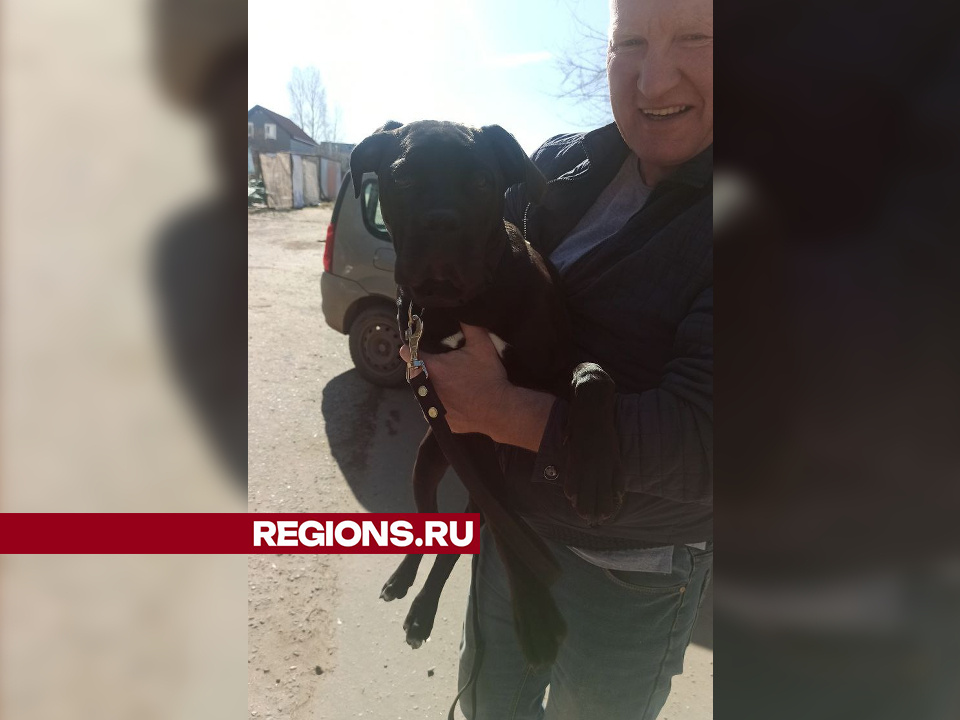     Фото: личный архив Андрея Ружинского