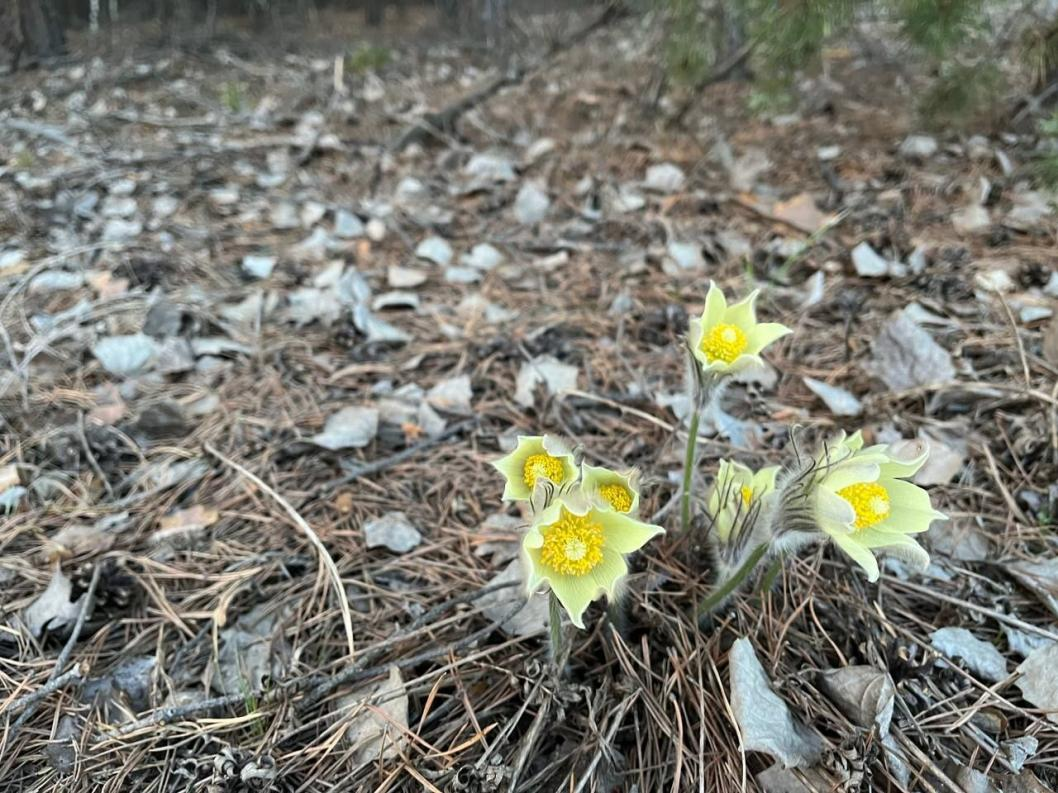 Фото: София Злагода, ИА "Тюменская линия"