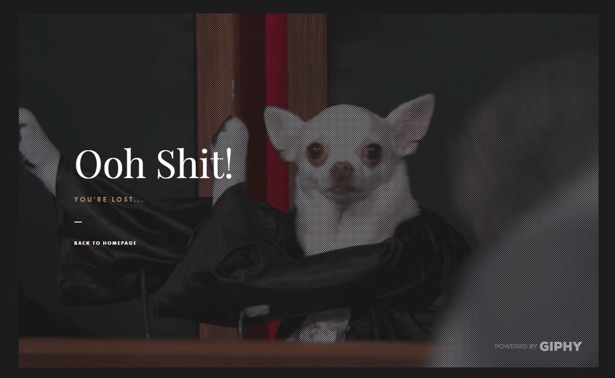 Испуганная собачка смотрит, что все сломалось