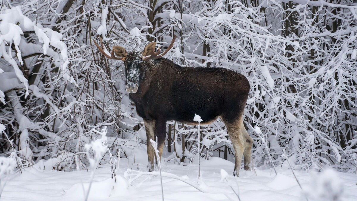    Фото: Tia Gata/Shutterstock/Fotodom