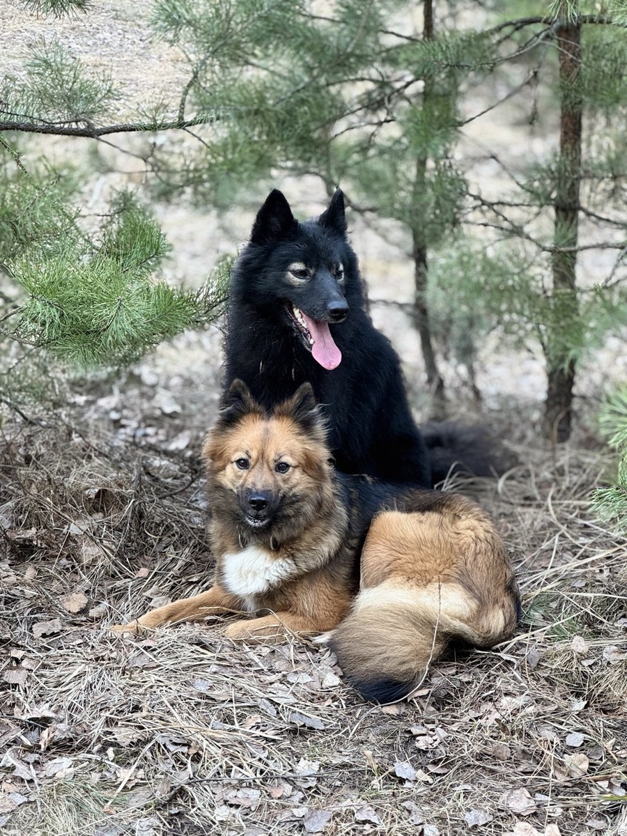 Семейный портрет Яши и Цеи