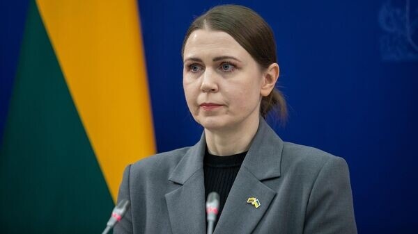    Глава Миноброны Литвы призывает думать не о «грибах и коровах», а о помощи армии