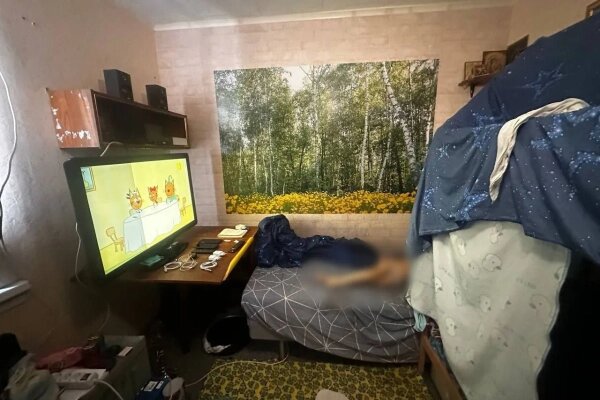 Мать зарезала ножницами пятилетнего сына в Казани. Обложка © Пресс-служба СУ СК по РТ