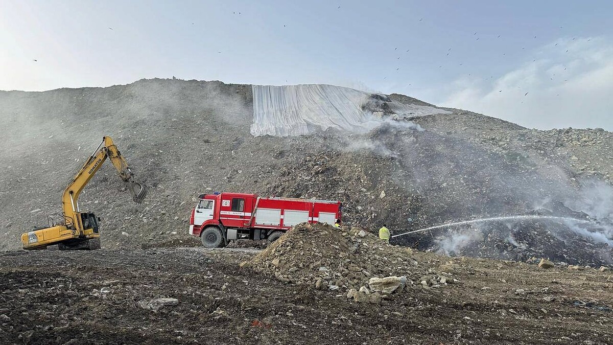    Фото: t.me/Gavrikovzam