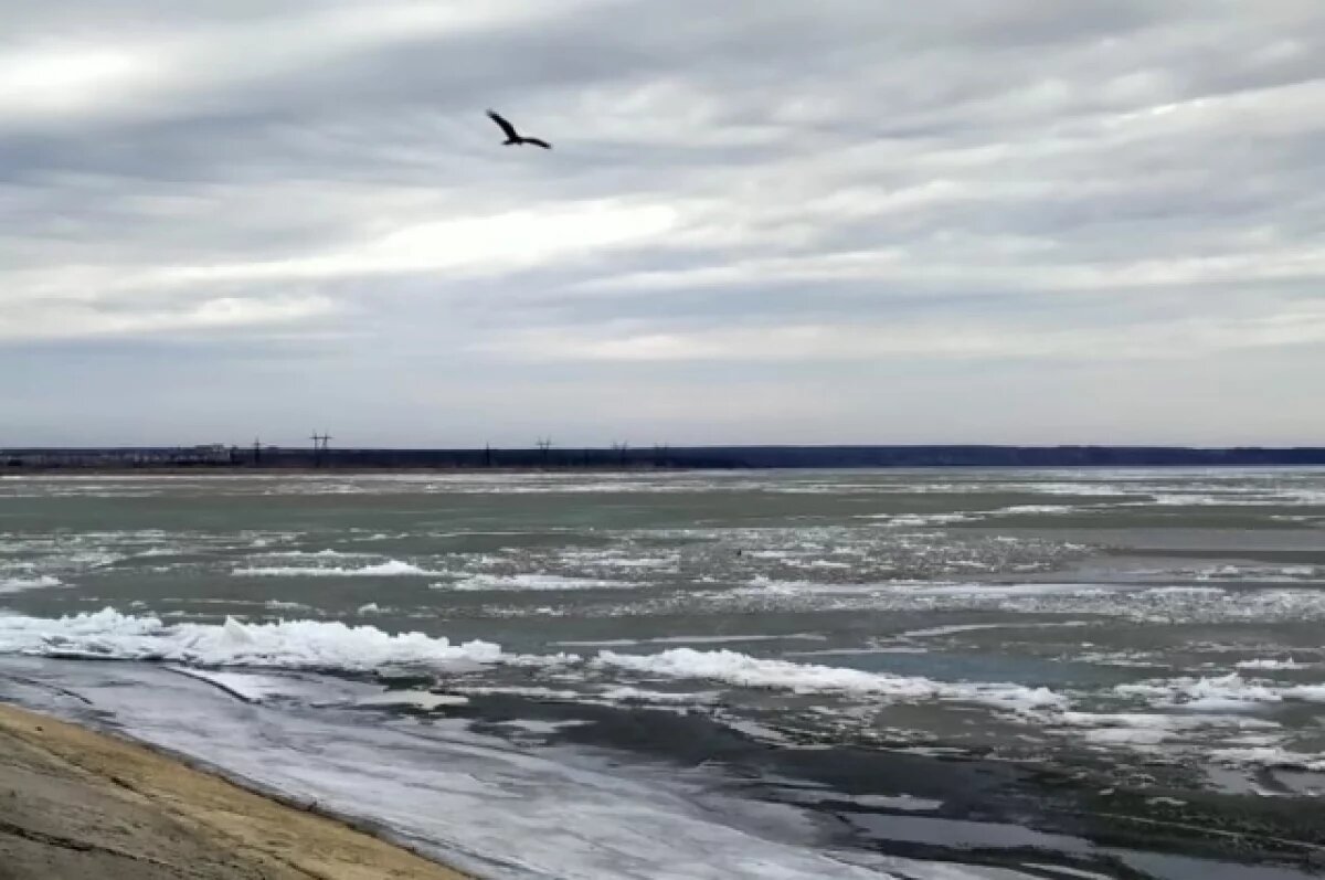    На новосибирских реках началось весеннее вскрытие льда