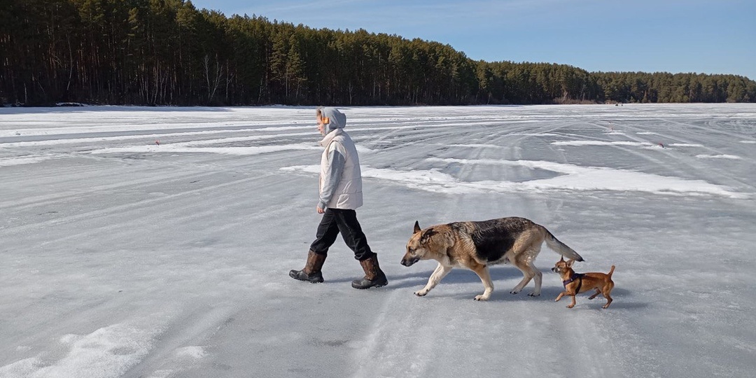 Выпускники приюта Хвостатое Счастье