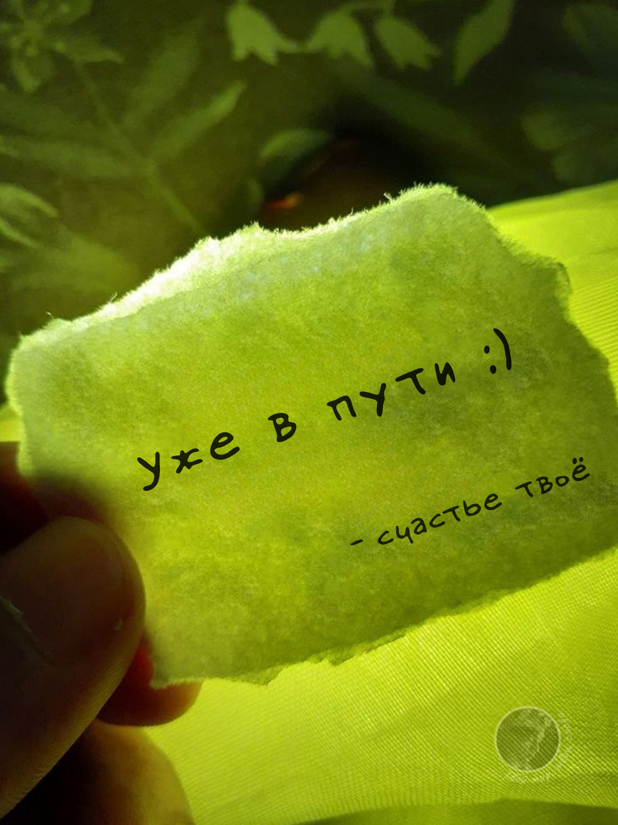 Счастье уже в пути - мотивирующая цитата на фоне зеленого листа. Вдохновляющие слова о том, что хорошие перемены ближе, чем кажется. Позитивные аффирмации для ежедневной мотивации и напоминание о том, что каждый достоин счастья. #мотивация #счастье #вдохновляющиецитаты