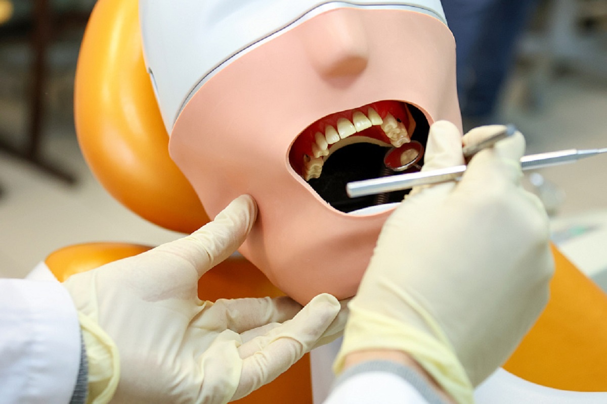    Фото: пресс-служба НовГУ