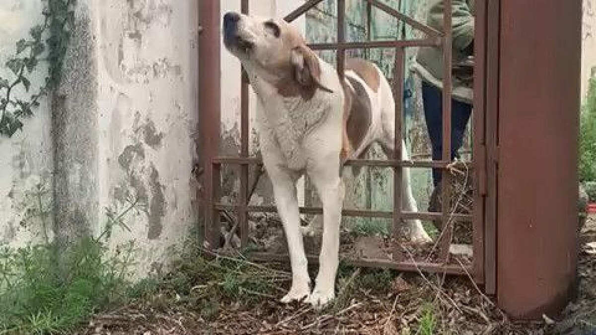    Фото: t.me/alekseioderov