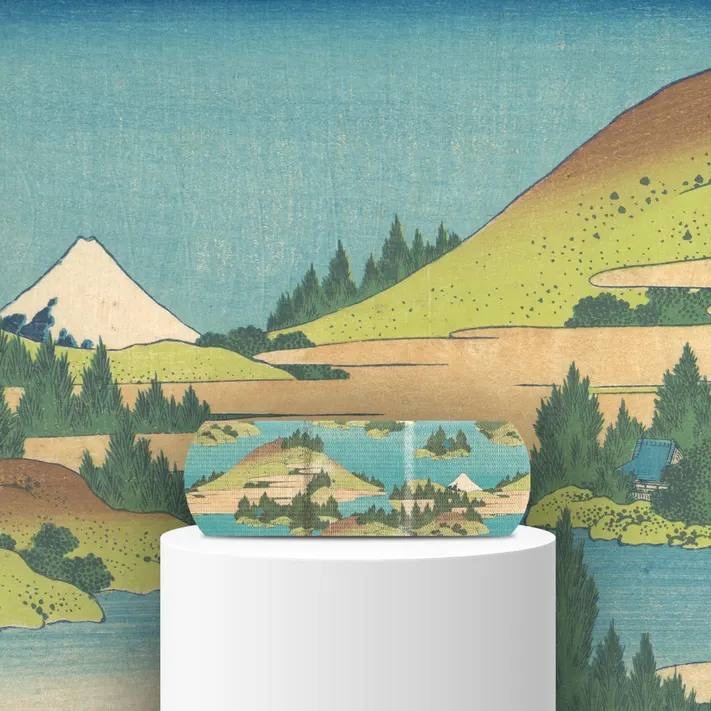 Пластыри от Band-Aid с шедеврами Метрополитен-музея: как искусство стало лекарством  