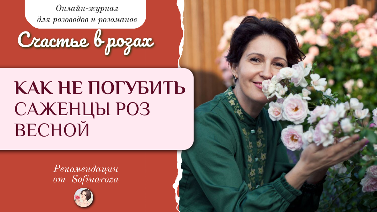 «Счастье в розах», выпуск №20, 04 апреля 2025г. 