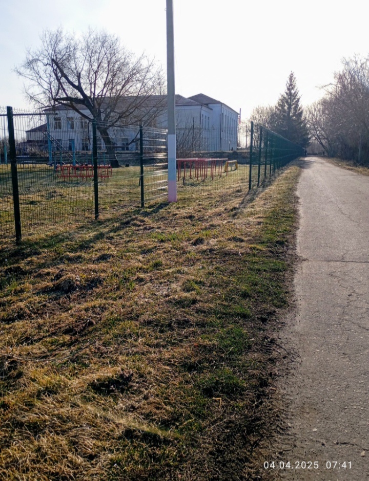 Скоро у этого клёна будет на одну ветку меньше.. 