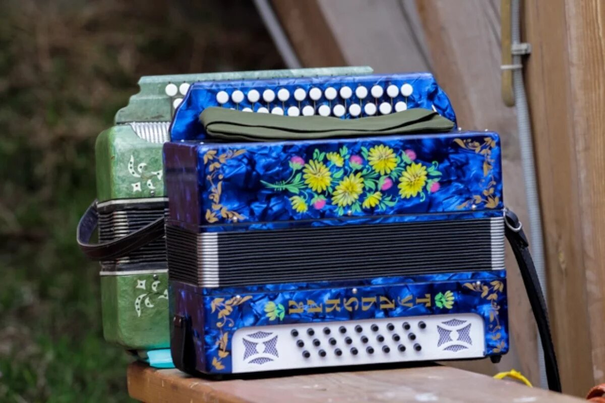    Житель Прикамья ранил дочь в шею ножом из-за ругани и испорченной гармони