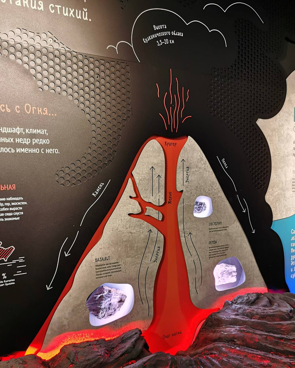 Экспозиция «Заповедная Камчатка»