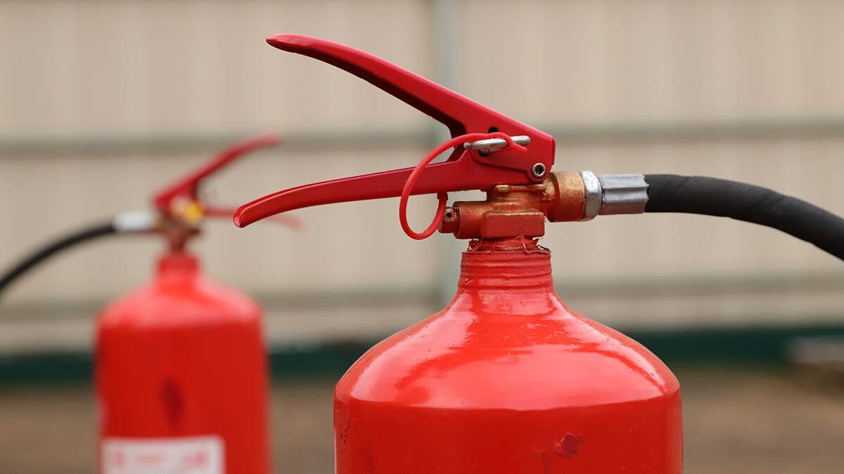    Фото: Анатолий Цымбалюк / Вечерняя Москва