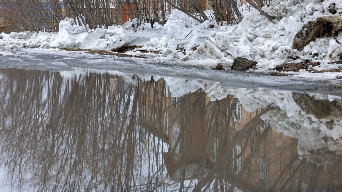    Фото: Сергей Зубков/«Ямал-Медиа»