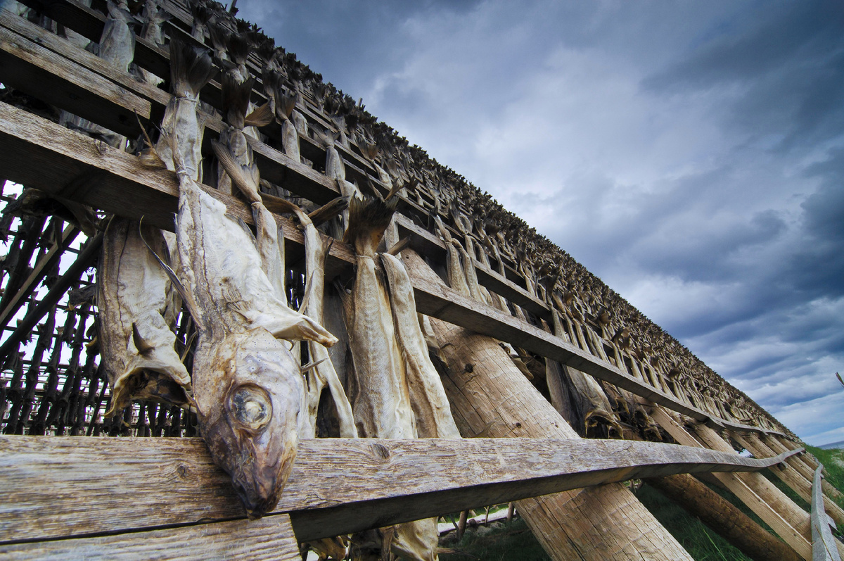 Фото: © Gerhard Zwerger-Schoner/ http://imagebroker.com/#/search// Global Look Press
