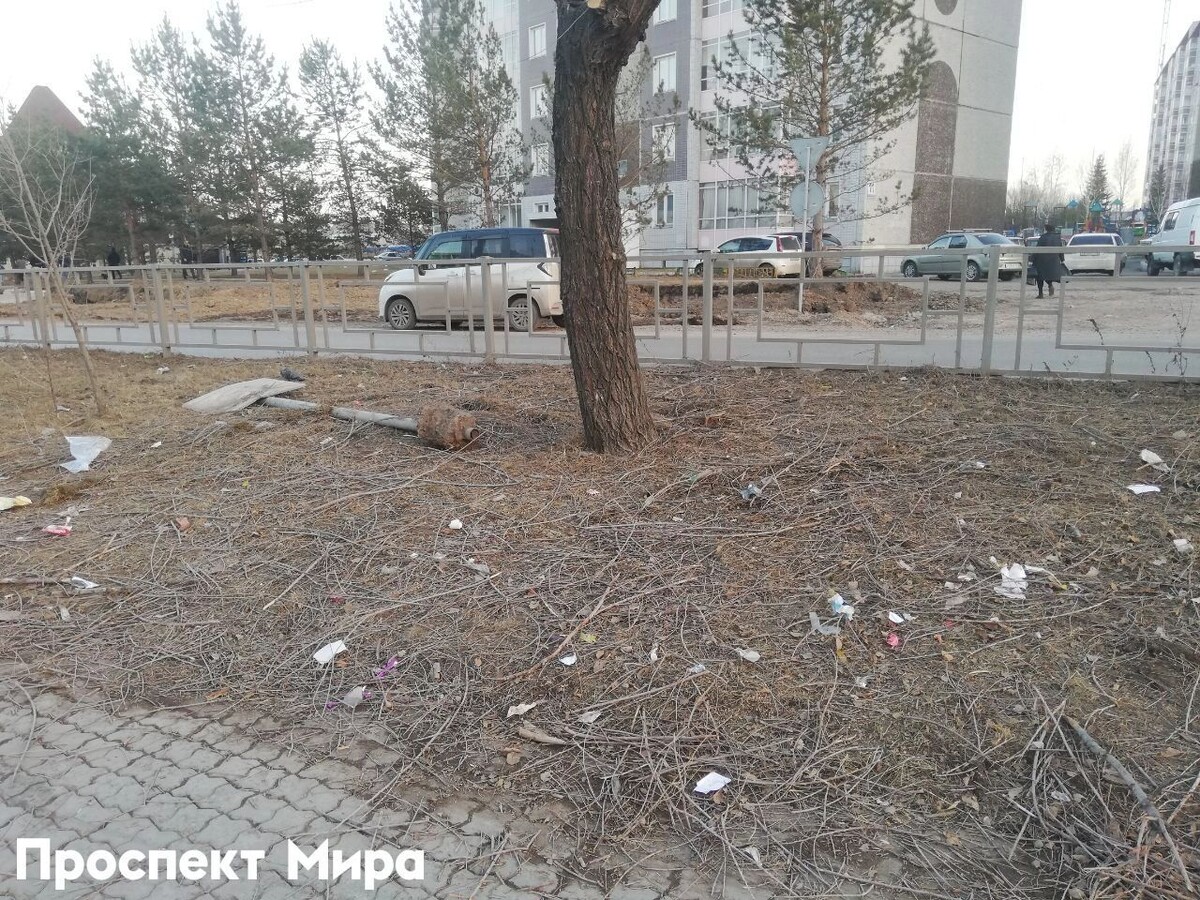     Источник: prmira.ru