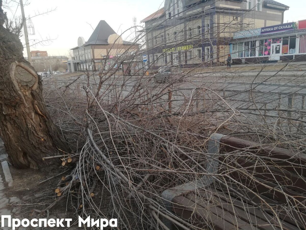     Источник: prmira.ru