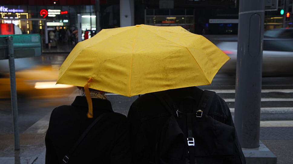 Фото: Александр Патрин / Коммерсантъ