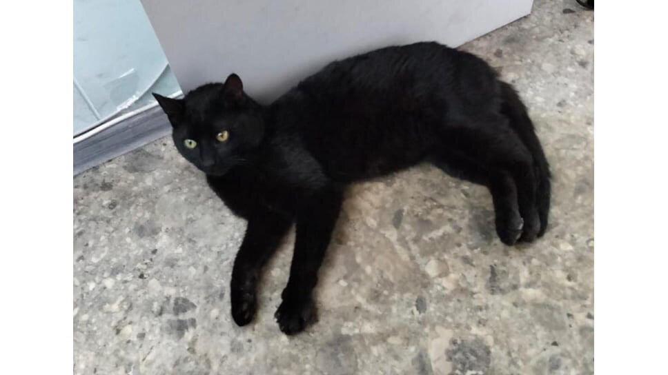 Транспортная группа Fesco