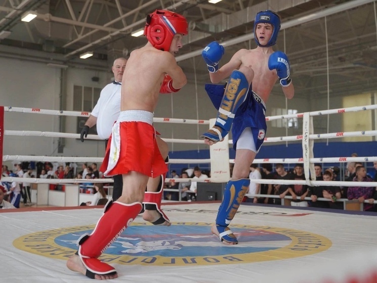     Фото: федерация кикбоксинга России